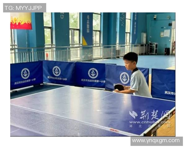 武汉乒乓球队在钻石联赛中的技术表现分析与点评