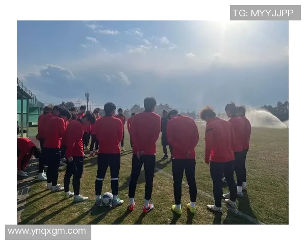 赛后分析：上海足球队与深圳足球队的战术意识与表现对比探讨