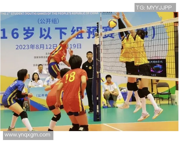 深圳排球队荣登排球配合排行榜第一名展现团队实力与默契