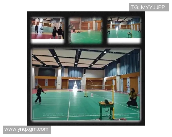 南京羽毛球队在洲际杯上的辉煌历程与成长蜕变的动人故事